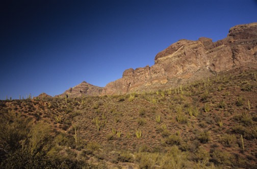 12-08 opc Estes Canyon Trail Organpipes